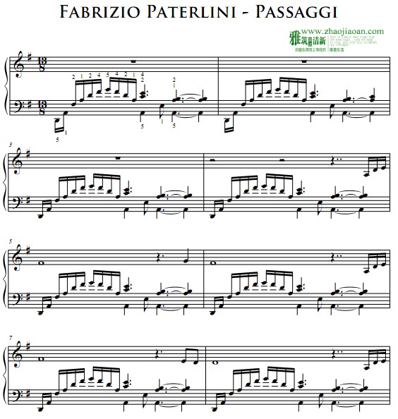 Fabrizio Paterlini - Passaggi