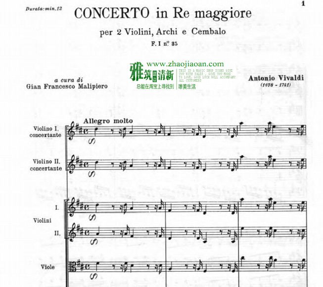 Vivaldi ά߶ D˫СЭ RV511