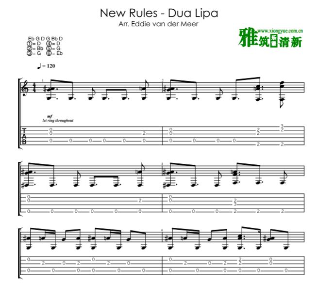 Eddie Van Der Meerָ New Rules - Dua Lipa