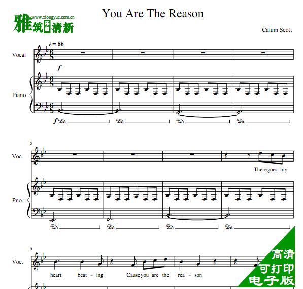 Calum Scott - You Are The Reason 
