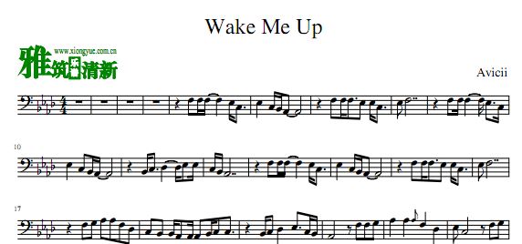 Avicii - Wake Me Up 