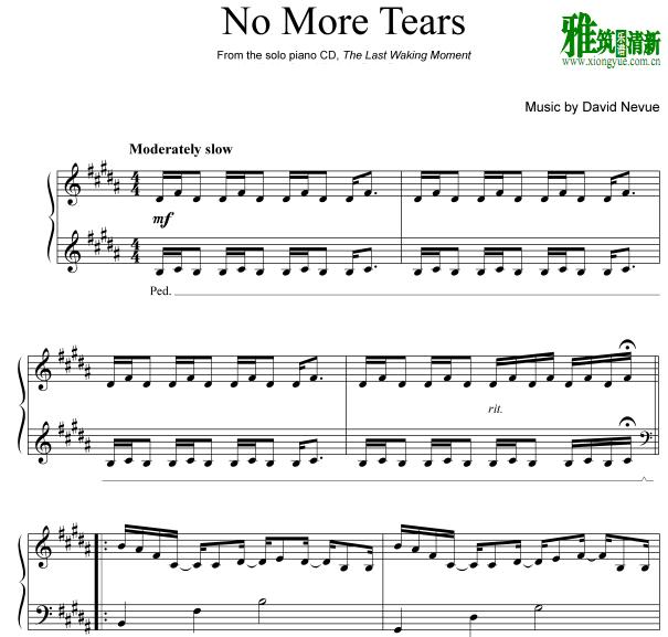 David Nevue - No More Tears