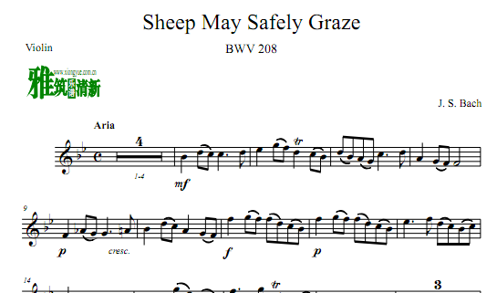 ͺ ڰسԲС Sheep May Safely Graze BWV 208 С
