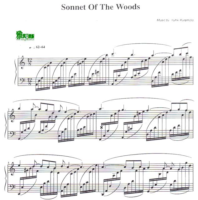 Yuhki Kuramoto ֱԣ - Sonnet of the Woods