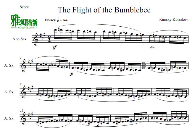 The Flight of the BumblebeeҰ˹