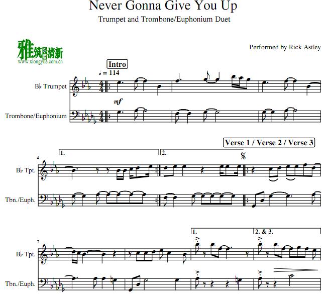 Never Gonna Give You UpСųŶ