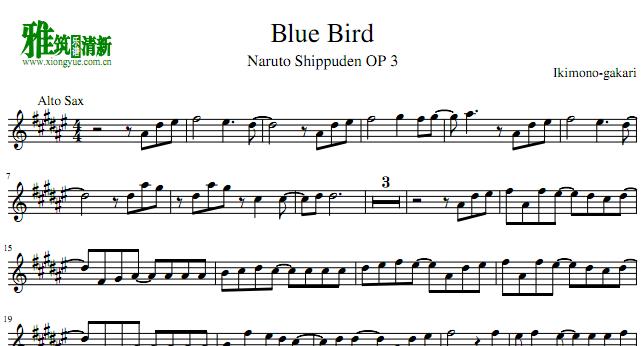 blue bird ˹