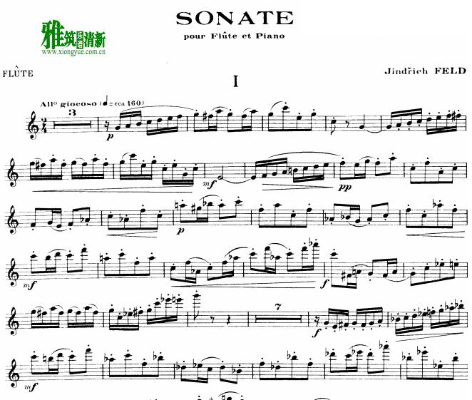 Jindfich Feld Flute Sonata 