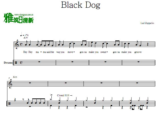 ֶַͧ  Black Dog