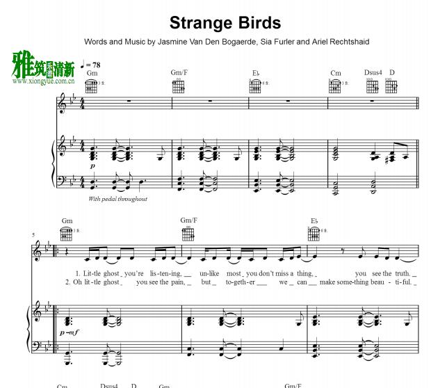 birdy - strange birdsٰ