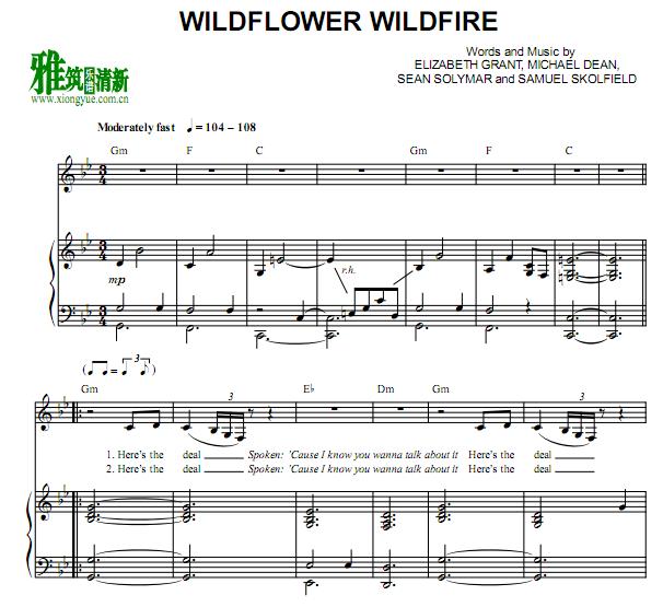 LANA DEL REY - Wildflower Wildfireٰ