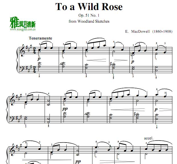 ˵ Ұõ MacDowell -  To a Wild Rose