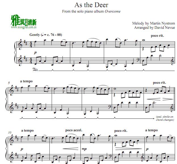 David Nevue  - As the Deer