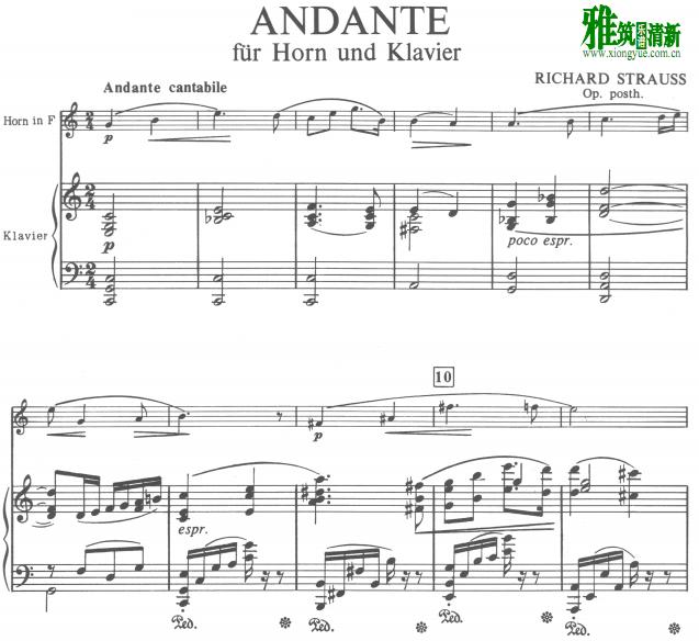 Richard Strauss - Andante ԲŸٰ