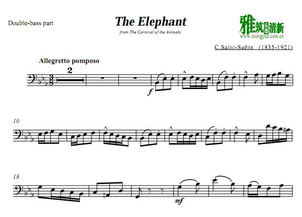 ʥɣ The Elephant 
