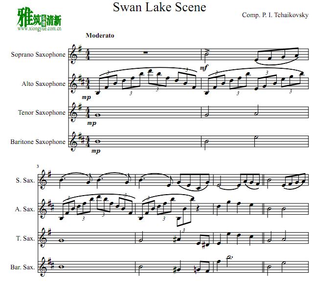 ɷ˹ ˹ Scene From Swan Lake 