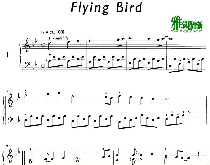 Daniel Hellbach - Flying Bird