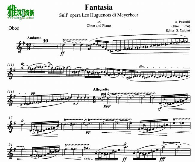 ˹ - Fantasia sull'opera Les Huguenots di Meyerbeer  ˫ɹ